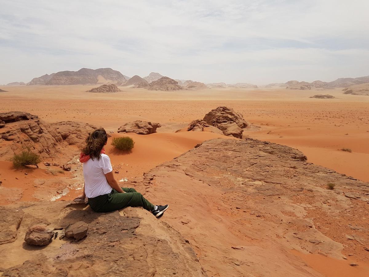 Wadi Rum Nature Tours And Camp מראה חיצוני תמונה